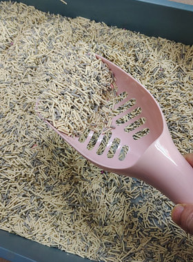 糖果色新款大号长柄猫砂铲给猫铲屎的铲子宠物厕所清洁用品