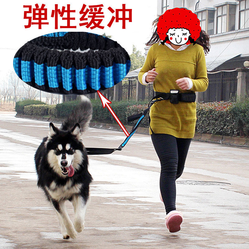 留狗加粗腰带可调节跑步牵引绳狗狗尼龙弹性缓冲拉带爱犬户外运动