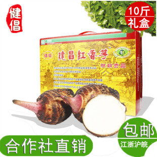 金坛正宗建昌红香芋现挖现发芋艿新鲜红芽小芋头蔬菜芋子10斤礼盒