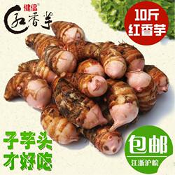 金坛正宗建昌红香芋现挖芋艿红芽小芋头粉糯芋子新鲜10斤常州特产