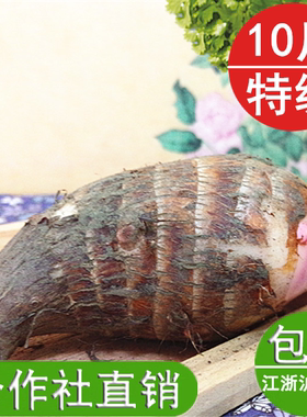 金坛正宗建昌红香芋新鲜芋艿软糯大香芋10斤红芽芋头蔬菜常州特产