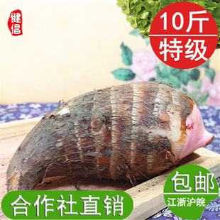 金坛正宗建昌红香芋新鲜芋艿软糯大香芋10斤红芽芋头蔬菜常州特产