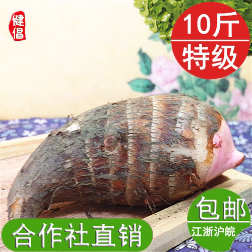 新鲜现挖软糯建昌红香芋芋艿常州