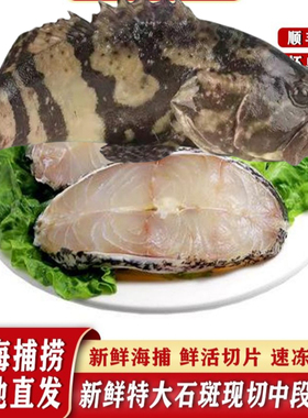 广东湛江特产新鲜大石斑鱼冷冻水产海鲜深海捕捞鱼切片中段发顺丰