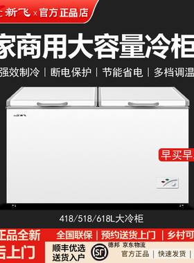 Frestec/新飞 BC/BD-418KHCT商用冷冻冷藏单温大冷柜深底卧式冰柜