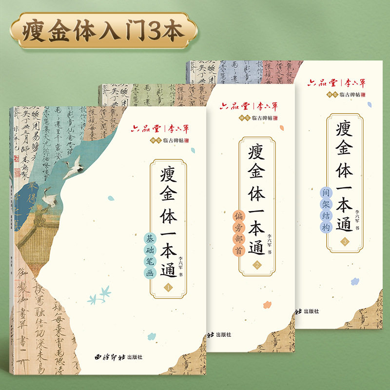3本成年人练钢笔字瘦金体入门字帖硬笔书法笔画笔顺偏旁结构临摹