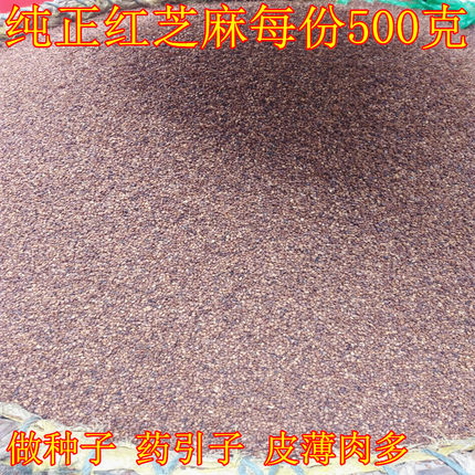 纯新货天然生芝麻 生红芝麻 农家红芝麻五谷杂粮 种子 药引子500g