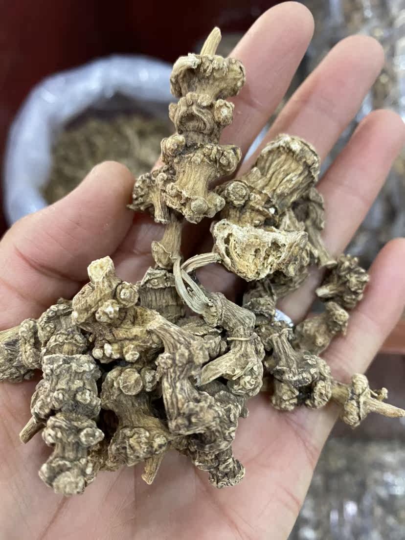 中药材竹节参正品250克包邮 纯天然野生竹节参 竹节三七 竹鞭三七