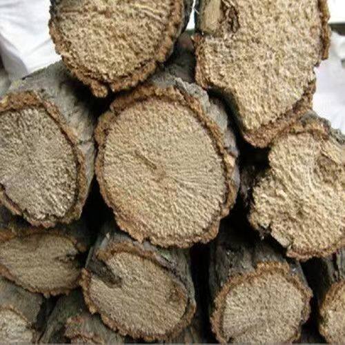 独角仙锹成虫甲虫发酵产木产房繁殖产卵专用透气家用