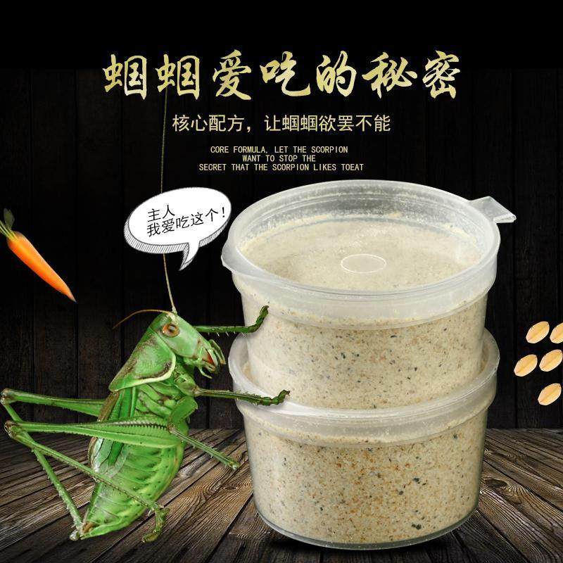 蝈蝈粮食饲料铁蝈蝈鸣虫活体超大蝈蝈食蛐蛐油葫芦紫竹铃扎嘴蟋蟀