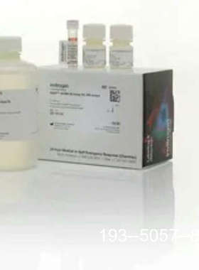 议价Qubit™ dsDNA 定量试剂盒详谈