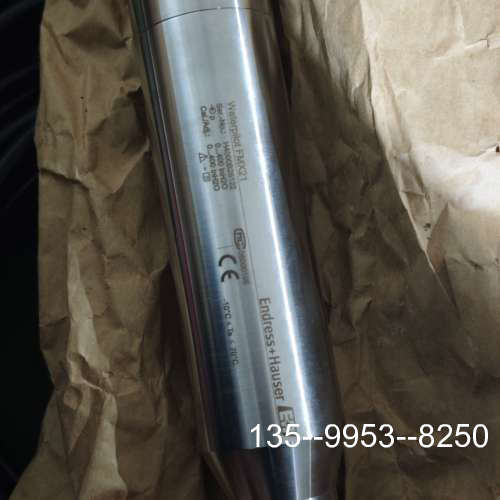 议价Endress+Hauser投入式液位变送器 FMX21详谈