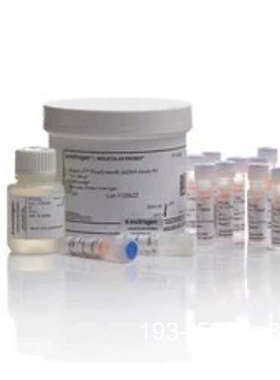 议价Quant-iT™ PicoGreen™ dsDNA 定量试详谈