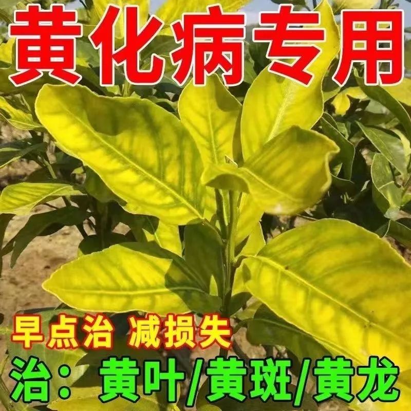 柑橘黄化病专用肥料治柑橘黄化卷叶黄龙病果树黄化转绿增产水溶肥