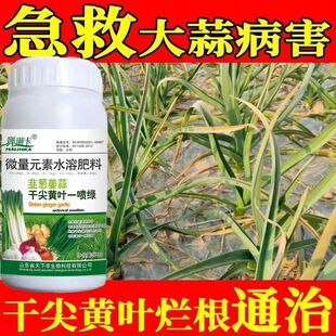 大蒜猛长大蒜专用肥防干尖根腐病软腐病疫病病毒病白粉大蒜病全治