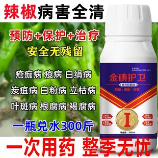 辣椒病毒病专用药卷叶病药黄叶炭疽农药杀菌剂病毒克星辣椒病防治