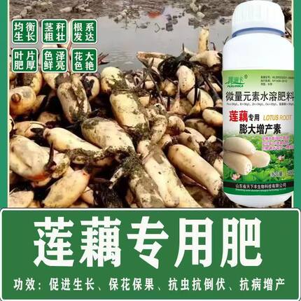 莲藕叶面肥莲藕膨大素增产肥专用叶面肥防三落莲藕高产药膨果素