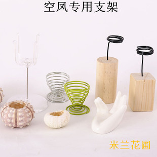 空气凤梨木托塑料支架金属铁架弹簧座海胆壳木板花器花盆配件