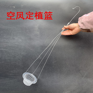 空气凤梨用定植篮大型绿植霸王盆栽壁挂垂吊花盆 花架配饰