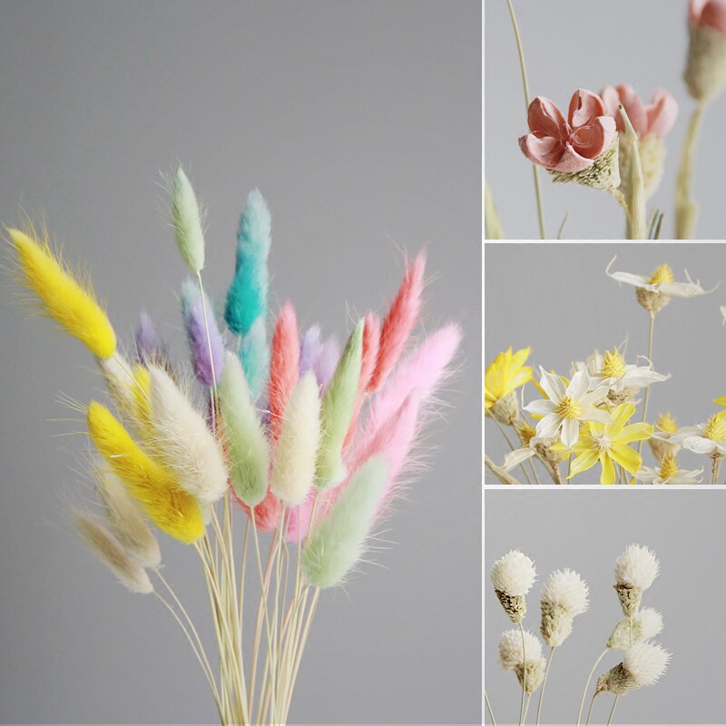 天然干花花艺艺术插花云南自然干花永生花彩色兔尾巴紫薇花招财花