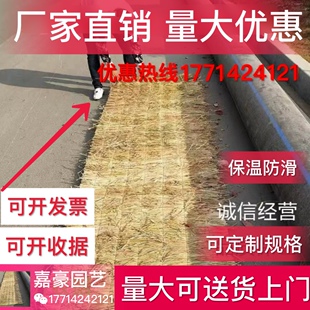 稻草垫 稻草帘子 保温稻草大棚草帘草垫子 草袋子草垛子防滑遮阳