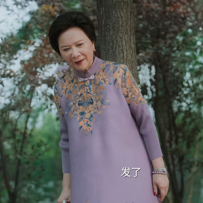 毒舌家庭蔡晓莺蔡明同款褶皱连衣裙女春夏旗袍大码中长款气质裙子