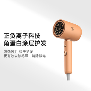 沙宣大功率便携吹风机速干负离子家用护发高速电吹风 官方旗舰