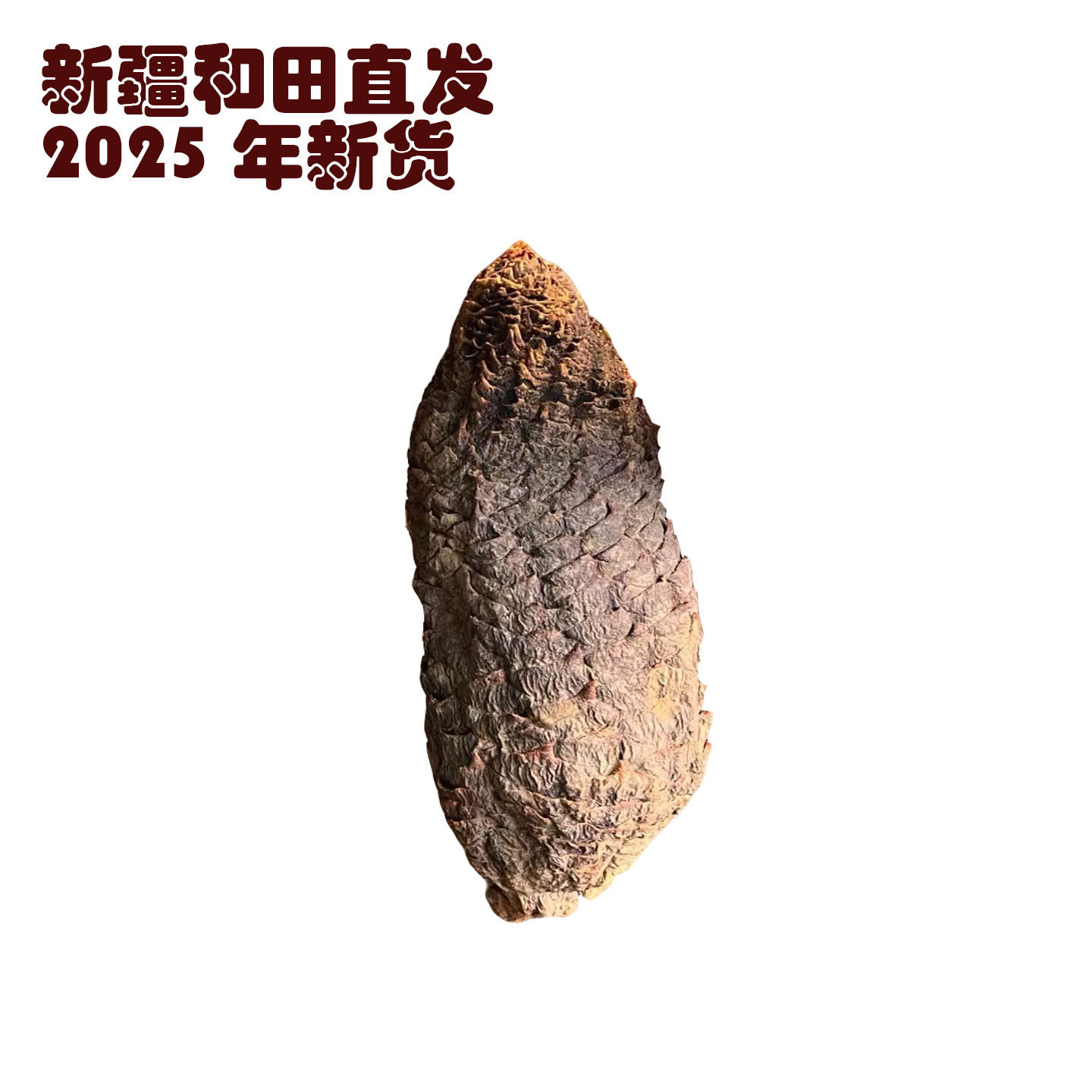 新疆和田肉苁蓉大芸整枝正品1000克正品泡酒泡茶配料