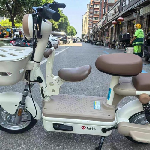 适配台铃悠米玛丽欣动欣尚大果粒小果粒电动车前置儿童座椅宝宝椅