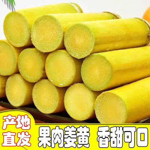 广西黄金水果甘蔗新鲜特产榨汁脆皮黄金甘蔗广西水果