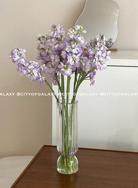 COG 条纹玻璃郁金香花瓶ins同款插花摆件装饰