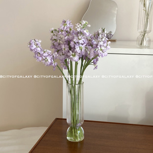 饰 插花摆件装 COG 条纹玻璃郁金香花瓶ins同款