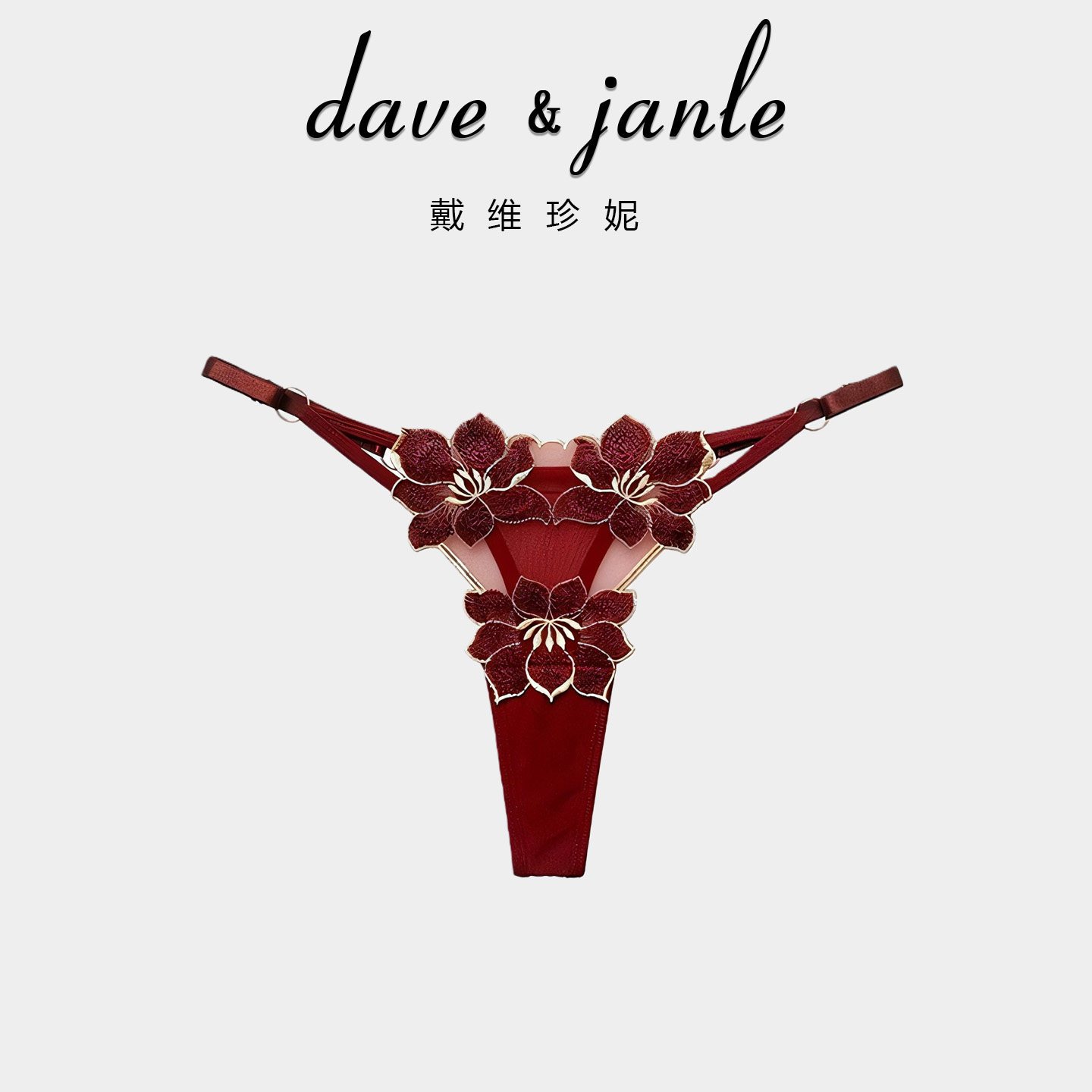 DAVE JANIE法式蕾丝镂空刺绣花朵内裤女性感火辣透明可调节丁字裤