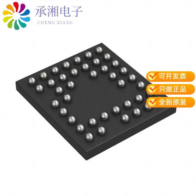 正品RT1025WS原装IC AFE 2 CHAN 24BIT 41WLCSP