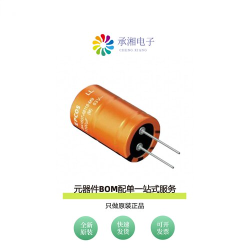 原装B41605A0258M008|B41580A8229M000|B41580A9109M000