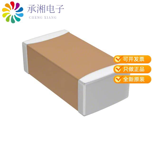 正品GG0402050R3C2P原装TVS DIODE 5VWM 15.5VC 0402