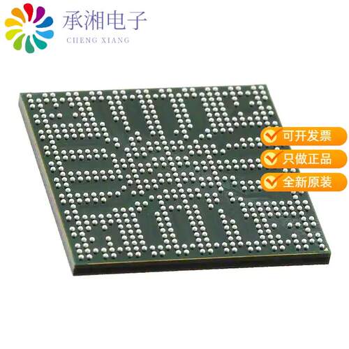 全新DM385AAAR11F正品IC DGTL MEDIA PROCESSOR 609FCBGA