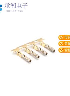 全新SS16M2F正品CONTACT SOCKET 16-18AWG SZ16