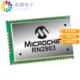 CAST RM103原装 RN2903A 正品 MOD TXRX 1GHZ ISM