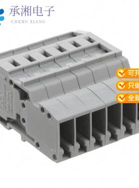正品3042298原装TERM B RCPT 6POS STR
