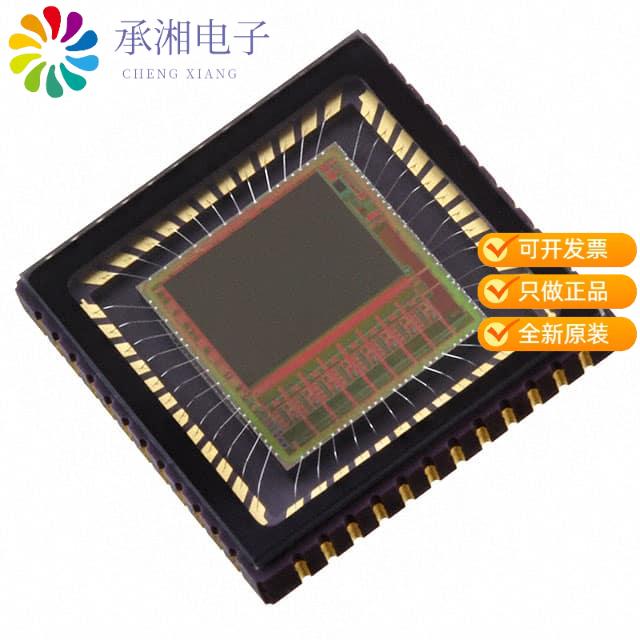 正品NOIV2SN1300A-QDC原装IC IMAGE SENSOR 1.3MP 48LLC