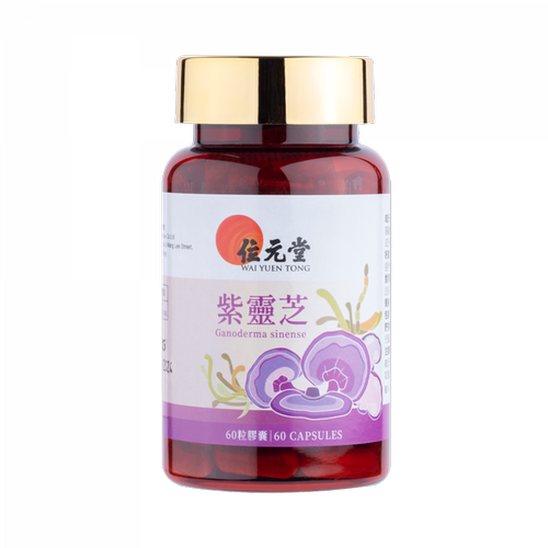 香港紫灵芝60粒装舒缓紧张情绪提升睡眠质素舒缓紧张情绪