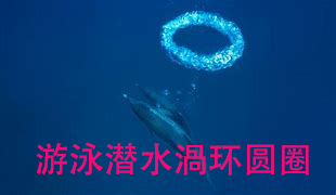 训练闭气 潜水海豚圈圈水下O形气泡 拍照潜水玩具