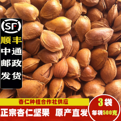 新货开口杏核小白坚果散装