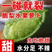 山东潍坊水果萝卜正宗新鲜生吃潍县特产脆梨天星青萝卜产地直发