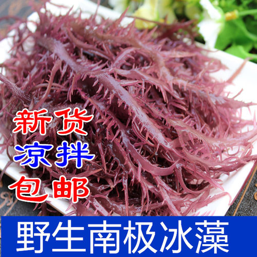 紫晶冰藻价格 紫晶冰藻图片 星期三
