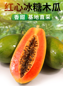 广西红心牛奶木瓜10斤新鲜冰糖心木瓜牛奶炖汤下奶水果1斤自然熟