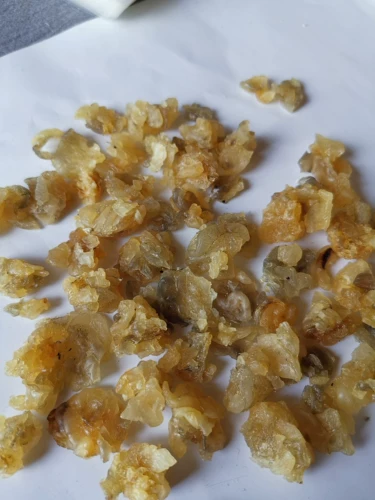 Северо-восточный снежный моллюск, обработанный зеленым измельченным маслом, масло горной лягушки Чанбайшань собирает утечку и высушивается, имеет высокую стоимость и вспенивается более чем в 60 раз.