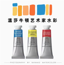 全色半块固体温艺自选色 温莎牛顿艺术家级水彩颜料分装
