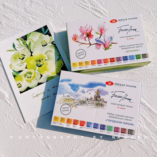 白夜大师级艺术家级12色植物色城市固体全块套装 优惠